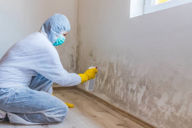 Mold Remediation specialist working in Richardson